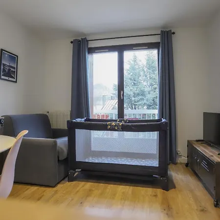 Apartment Le Fier Pied A Terre A Annecy