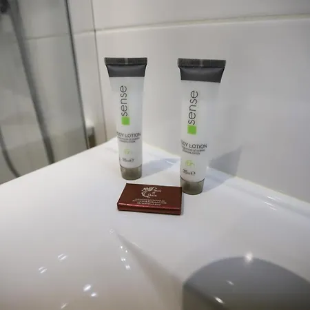 Le Fier Pied A Terre A Apartment Annecy